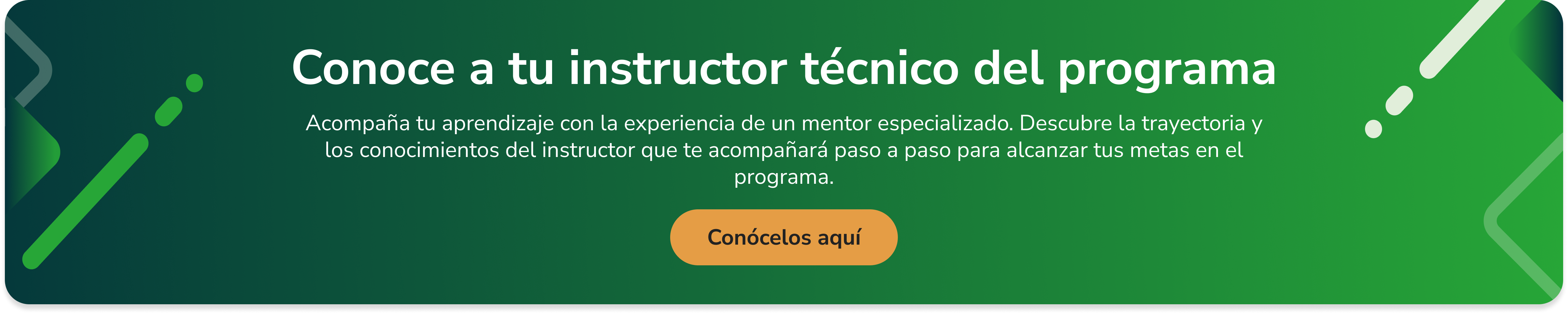 Banner del equipo de tutores del programa Tu Negocio en Línea